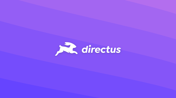 Quickly Deploy Directus On Fly.io