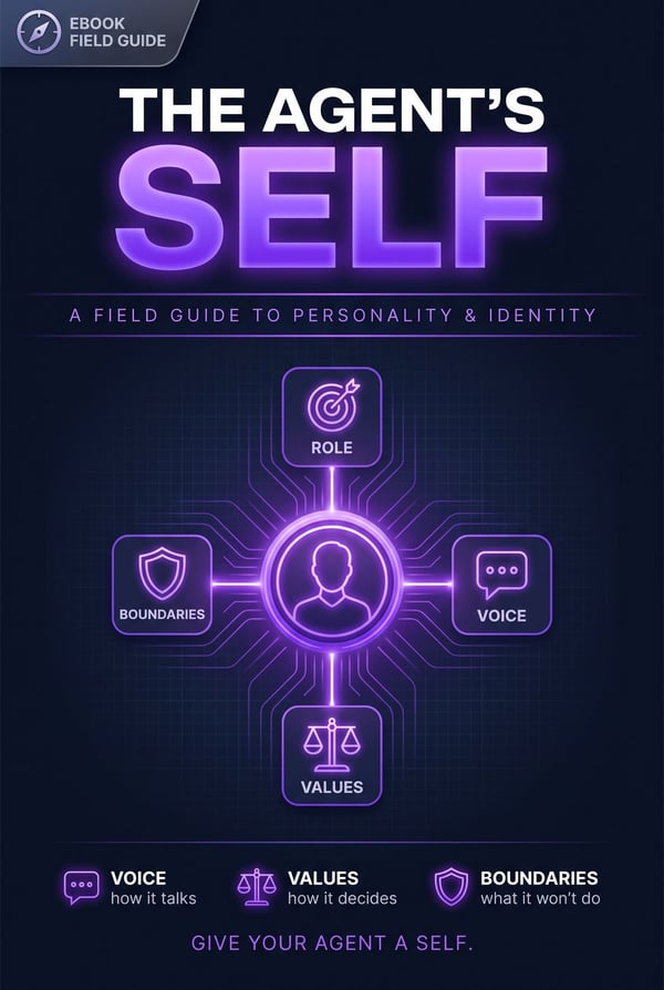 The Agent's Self: A Field Guide to Personality & Identity